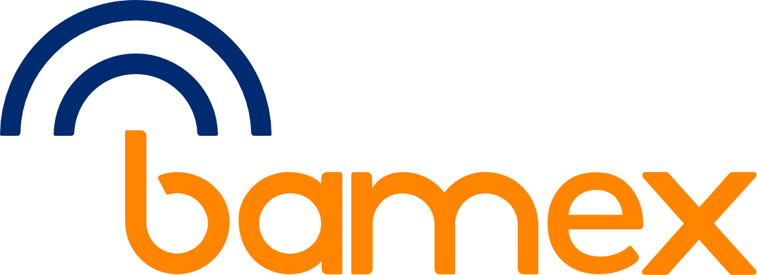 Portal do Credenciado Bamex